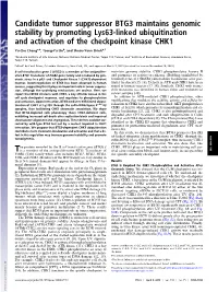Candidate Tumor Suppressor BTG3 Maintains Genomic Stability by Promoting Lys63-Linked Ubiquitination and Activation of the Checkpoint Kinase CHK1
