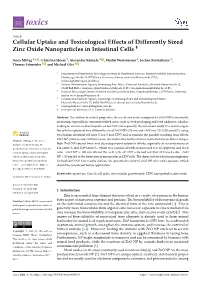 Cellular Uptake and Toxicological Effects of Differently Sized Zinc Oxide Nanoparticles in Intestinal Cells †