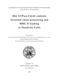 Rho Gtpase Cdc42 Controls Invariant Chain Processing and MHC II Loading in Dendritic Cells