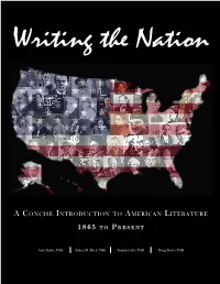 Writing the Nation: a Concise Introduction to American Literature