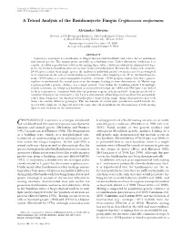 153.Full.Pdf