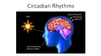 Circadian Rhythms Controlling the Timing of Behaviour by Anticipating the Environment