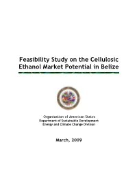 Feasibility Study on the Cellulosic Ethanol Market Potential in Belize