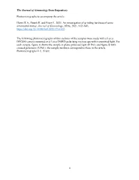 The Journal of Gemmology Data Depository Photomicrographs To