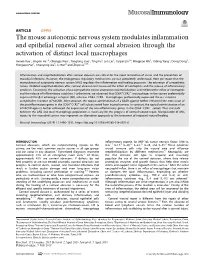 The Mouse Autonomic Nervous System Modulates Inflammation And