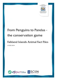 From Penguins to Pandas - the Conservation Game