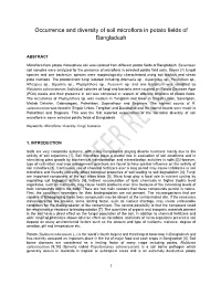Occurrence and Diversity of Soil Microflora in Potato Fields of Bangladesh