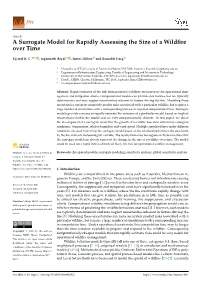 A Surrogate Model for Rapidly Assessing the Size of a Wildfire