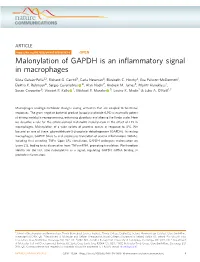 Malonylation of GAPDH Is an Inflammatory Signal in Macrophages