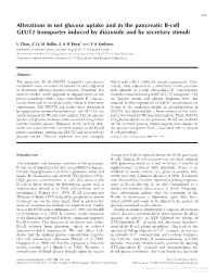 Alterations in Net Glucose Uptake and in the Pancreatic B-Cell GLUT2 Transporter Induced by Diazoxide and by Secretory Stimuli