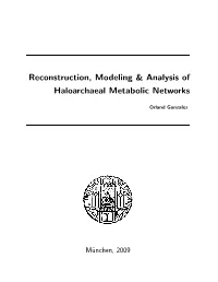Reconstruction, Modeling & Analysis of Haloarchaeal Metabolic Networks