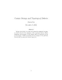 Cosmic Strings and Topological Defects