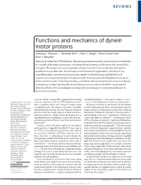 Functions and Mechanics of Dynein Motor Proteins