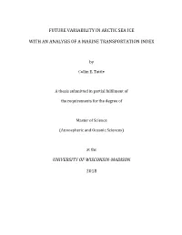 Future Variability in Arctic Sea Ice with an Analysis of a Marine