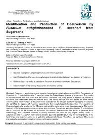 Identification and Production of Beauvericin by Fusarium Subglutinansand F