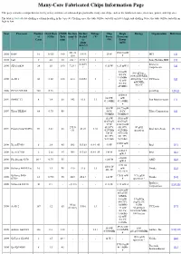 Many-Core Fabricated Chips Information Page