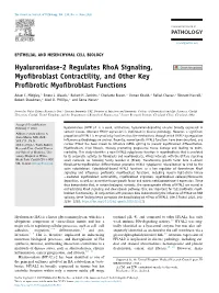 Hyaluronidase-2 Regulates Rhoa Signaling, Myofibroblast Contractility, and Other Key Profibrotic Myofibroblast Functions