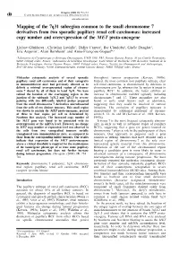 Mapping of the 7Q31 Subregion Common to the Small