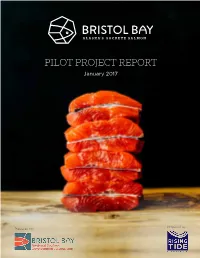 PILOT PROJECT REPORT January 2017