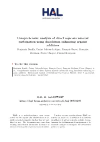 Comprehensive Analysis of Direct Aqueous Mineral Carbonation Using