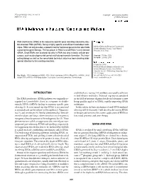 INTRODUCTION Sirna and Rnai