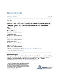Structure and Function of Connective Tissue in Cardiac Muscle: Collagen Types I and III in Endomysial Struts and Pericellular Fibers