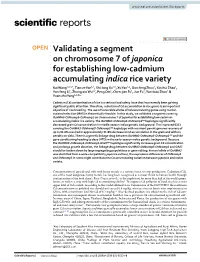 Validating a Segment on Chromosome 7 of Japonica for Establishing Low