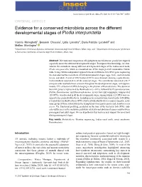 Evidence for a Conserved Microbiota Across the Different Developmental Stages of Plodia Interpunctella