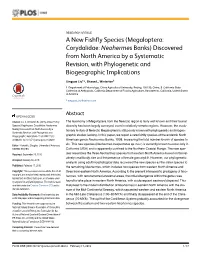 Megaloptera: Corydalidae: Neohermes Banks) Discovered from North America by a Systematic Revision, with Phylogenetic and Biogeographic Implications