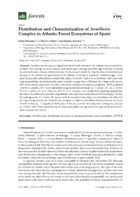 Distribution and Characterization of Armillaria Complex in Atlantic Forest Ecosystems of Spain