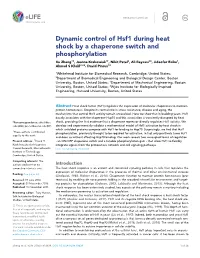Dynamic Control of Hsf1 During Heat Shock by a Chaperone Switch And