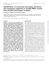 Identification of Conserved Secondary Structures and Expansion Segments in Enod40 Rnas Reveals New Enod40 Homologues in Plants Alexander P