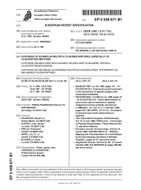 Synthesis of Equimolar Multiple Oligomer Mixtures