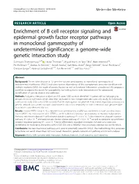 Enrichment of B Cell Receptor Signaling and Epidermal Growth Factor Receptor Pathways in Monoclonal Gammopathy of Undetermined S