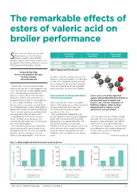 The Remarkable Effects of Esters of Valeric Acid on Broiler Performance
