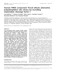 Human TREX Component Thoc5 Affects Alternative Polyadenylation