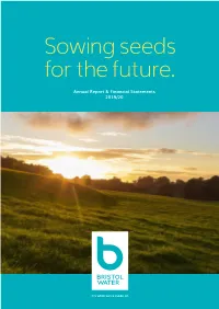Sowing Seeds for the Future
