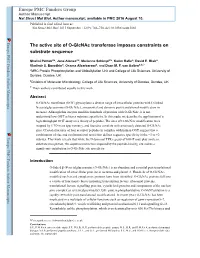 The Active Site of O-Glcnac Transferase Imposes Constraints on Substrate Sequence