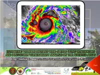 Estimating Typhoon Haiyan's Wind Speeds Using Windicators