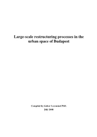 Large-Scale Restructuring Processes in the Urban Space of Budapest