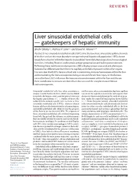 Liver Sinusoidal Endothelial Cells — Gatekeepers of Hepatic Immunity