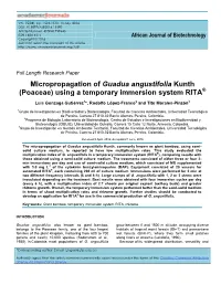 Micropropagation of Guadua Angustifolia Kunth (Poaceae) Using a Temporary Immersion System RITA®