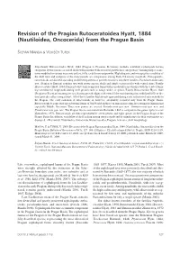 Nautiloidea, Oncocerida) from the Prague Basin