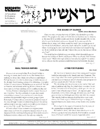 Newsletter for Beginners, by Beginners Vol