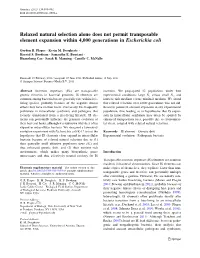 Relaxed Natural Selection Alone Does Not Permit Transposable Element Expansion Within 4,000 Generations in Escherichia Coli