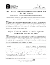 Upper Cretaceous Chondrichthyes Teeth Record in Phosphorites of the Loma Gorda Formation•