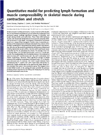 Quantitative Model for Predicting Lymph Formation and Muscle Compressibility in Skeletal Muscle During Contraction and Stretch