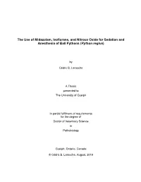 The Use of Midazolam, Isoflurane, and Nitrous Oxide for Sedation and Anesthesia of Ball Pythons (Python Regius)