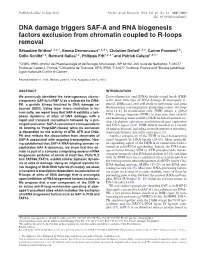 DNA Damage Triggers SAF-A and RNA Biogenesis