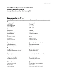 Deciduous Large Trees